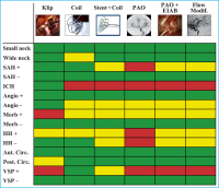 Abbildung 1: Zerebrale Aneurysmen