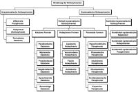 Abbildung 2: Schizophrenie - Karl Leonhard