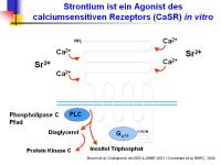 Abbildung 10: Protelos(R)