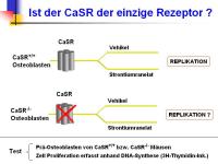Abbildung 11: Protelos(R)